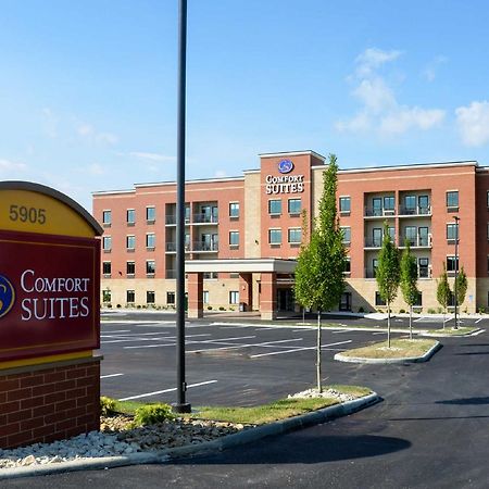 Comfort Suites Florence - Cincinnati South Экстерьер фото
